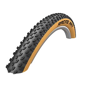 Schwalbe,  Racing Ray,  Pneu