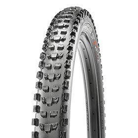 Maxxis,  Dissector,  Pneu