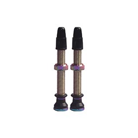 EVO,  Valves Tubeless,  Presta