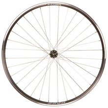  Wheel Shop,  Alex DA22 Noir/ Shimano Sora HB-RS300,  Roue