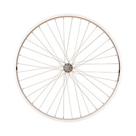 Wheel Shop,  Evo Tour 19,  Roue