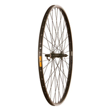  Wheel Shop,  WTB DX18 / Shimano HB-QC300,  Roue