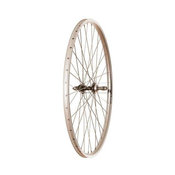 Wheel Shop,  4PK Evo Tour19,  Roue