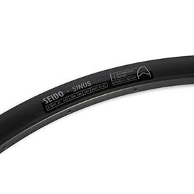 Seido,  Sinus,  Jante