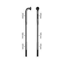  Zipp,  Sapim D-Light,  Rayons