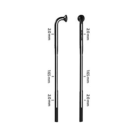Zipp,  Sapim D-Light,  Rayons
