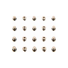 SRAM,  Vis de purge,  20pcs