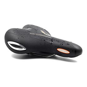 Selle Royal,  Lookin Moderate,  Selle