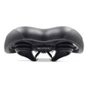 Selle Royal,  Lookin Moderate,  Selle