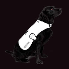  Proviz,  Manteau Pour Chien,  Argent