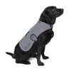 Proviz,  Manteau Pour Chien,  Argent