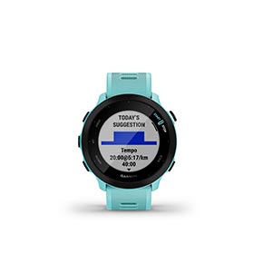 Garmin,  Forerunner 55,  Montre