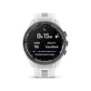 Garmin,  Approach S70S,  Montre