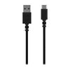 Garmin,  010-13199-00,  Câble USB Type A à Type C
