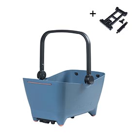 Basil,  Buddy Dog,  Panier