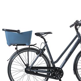 Basil,  Buddy Dog,  Panier