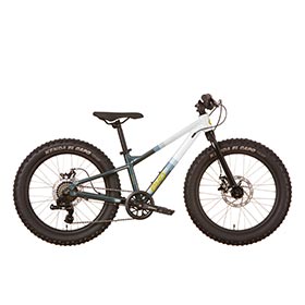 EVO,  Cadet 20,  Vélo pour enfants
