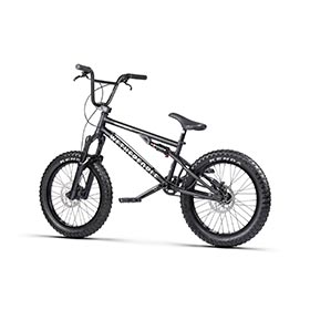 We The People,  Swampmaster,  BMX